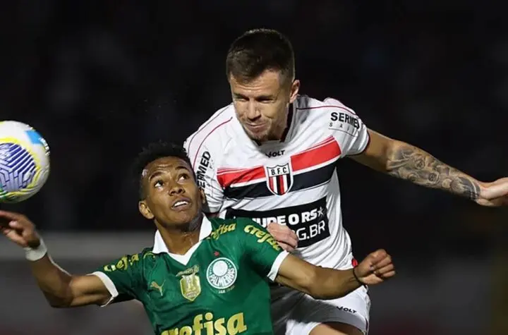 palmeiras x botafogo sp