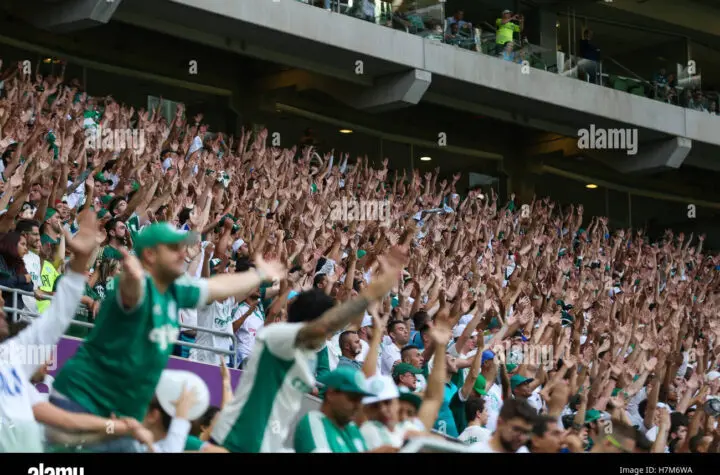 palmeiras x internacional 6