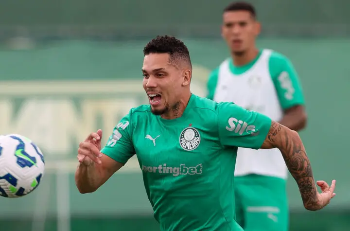 paulinho palmeiras
