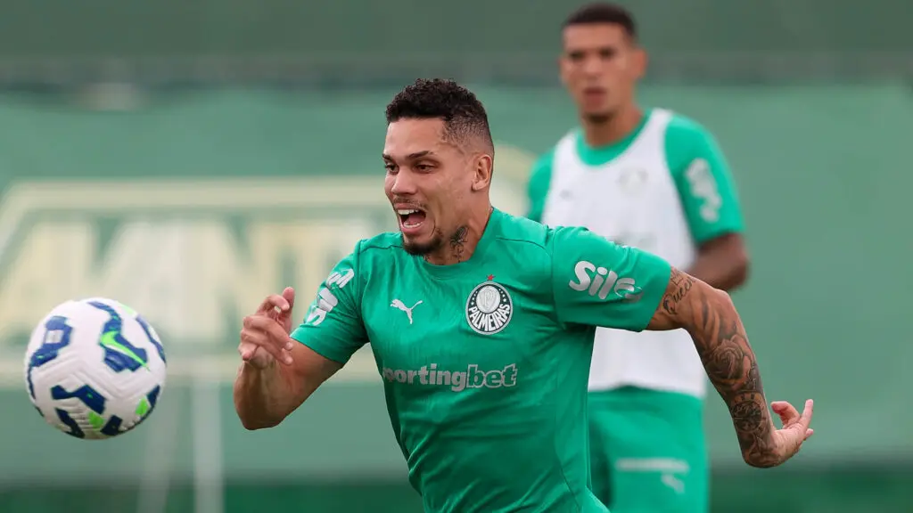 paulinho palmeiras