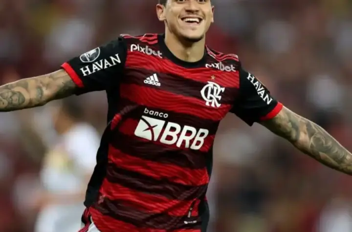pedro do flamengo