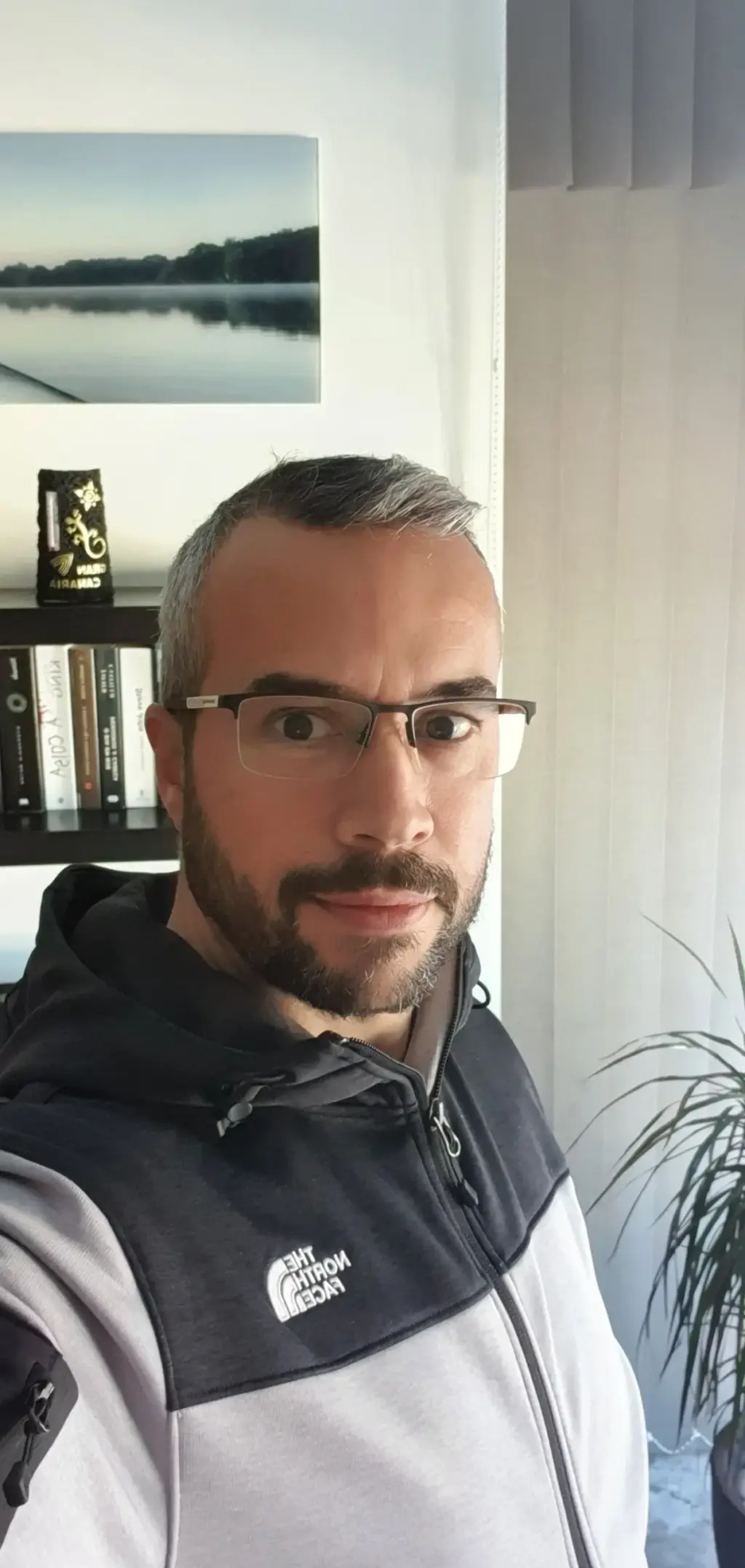 pedro ferreira