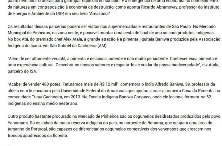 portal do holanda
