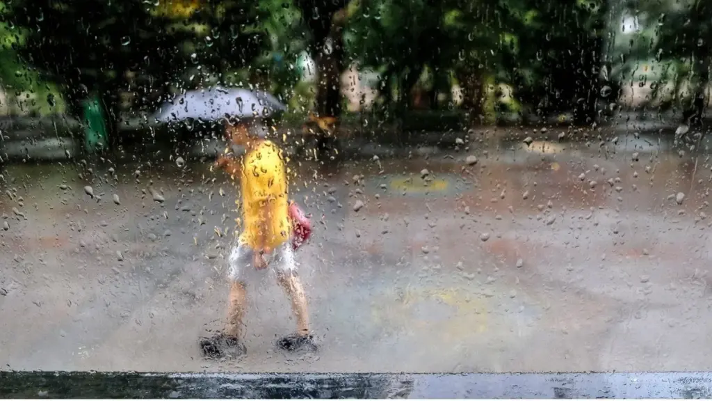 previsão de chuva — BR news