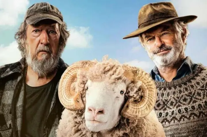 rams