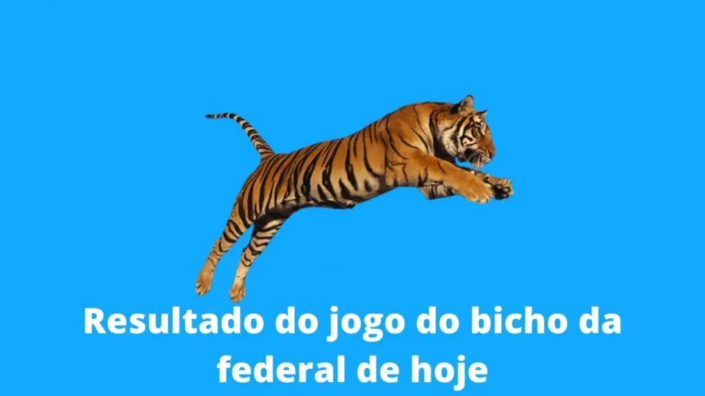 resultado do jogo do bicho da federal de hoje