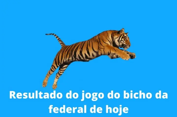 resultado do jogo do bicho da federal de hoje