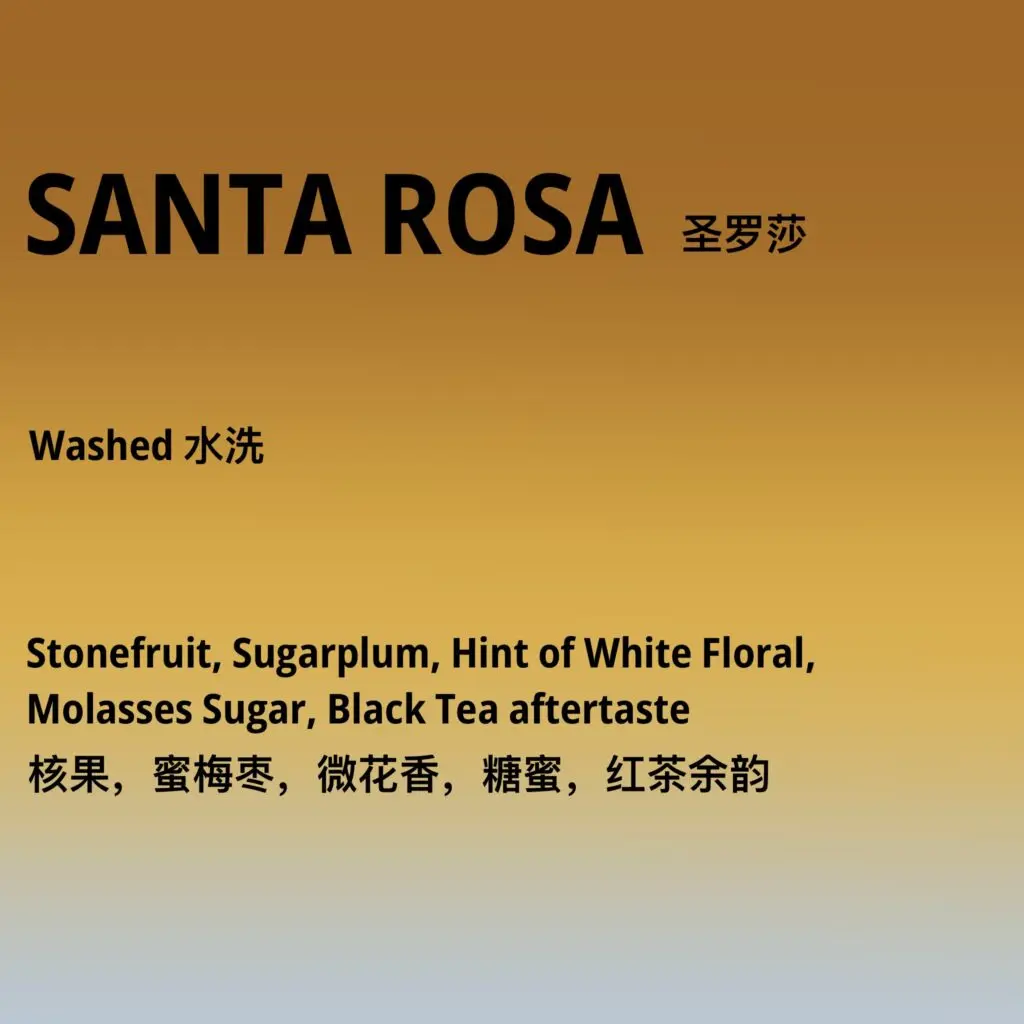 santa rosa x paysandu