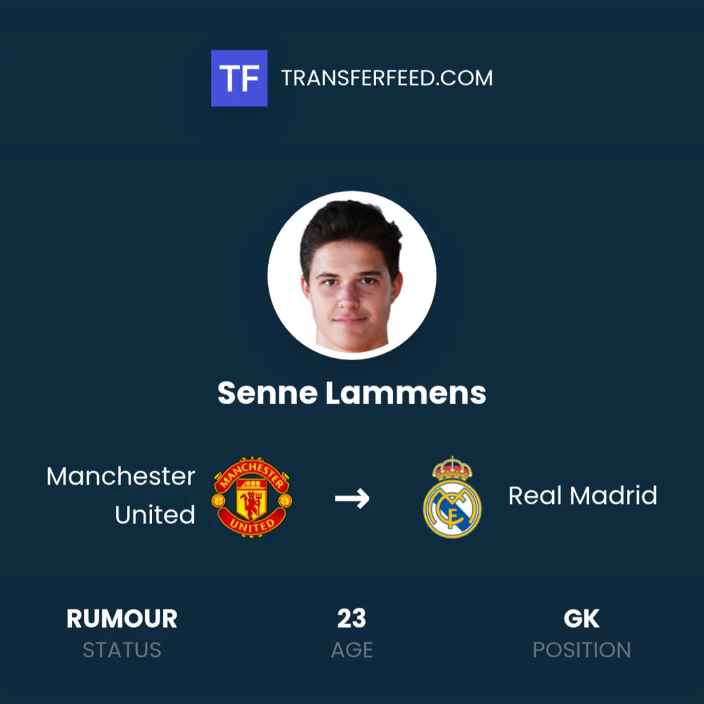 senne lammens