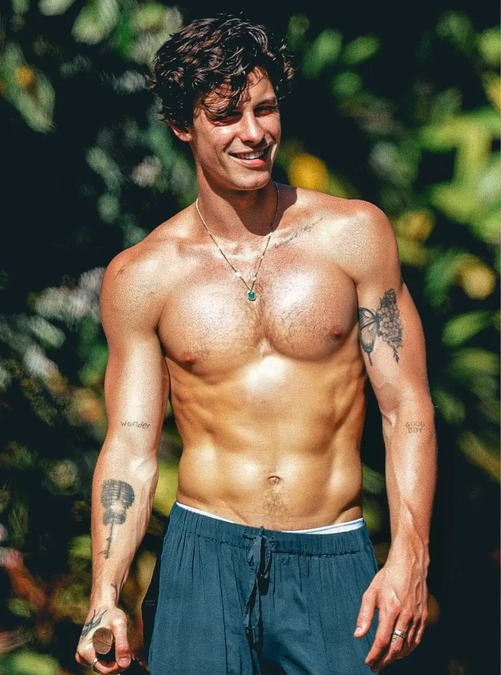 shawn mendes