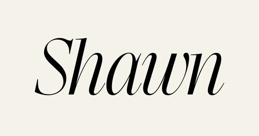 shawn mendes bbb