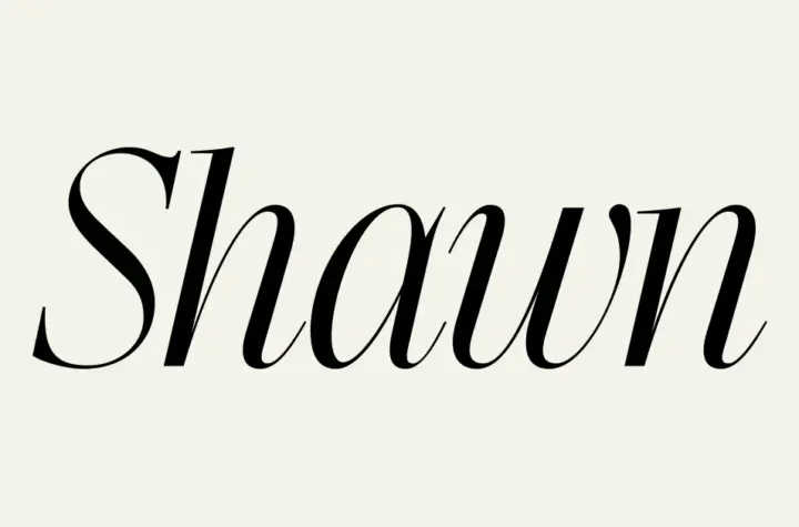 shawn mendes bbb