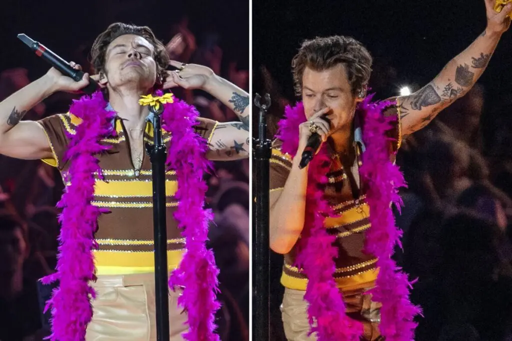 show harry styles