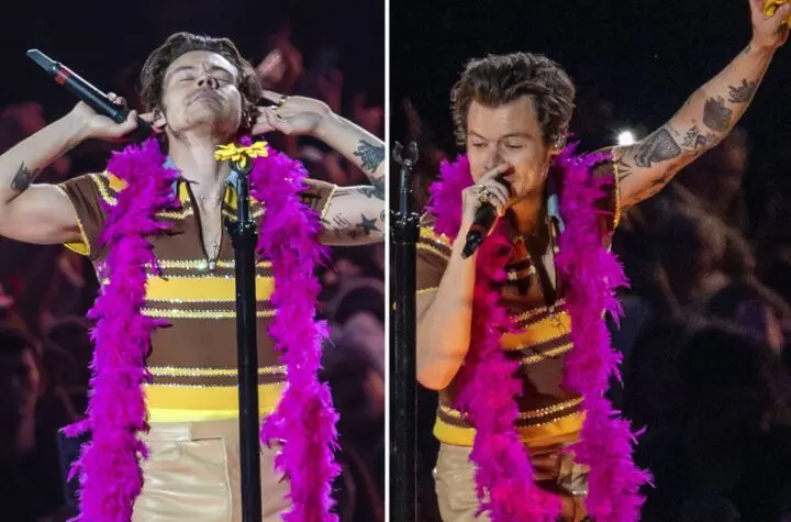 show harry styles