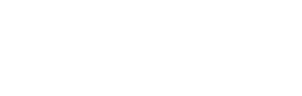 sisu