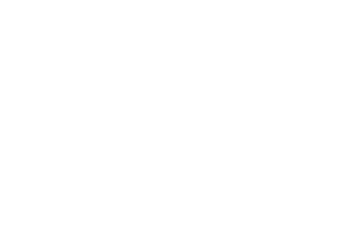 sisu