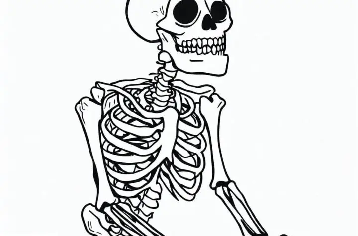 skeleton
