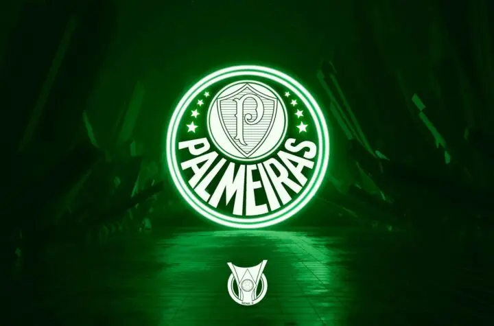 sociedade esportiva palmeiras