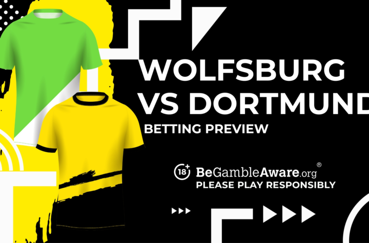wolfsburg x borussia 7