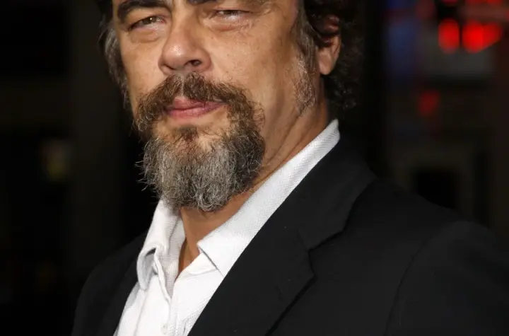 benicio del toro — BR news
