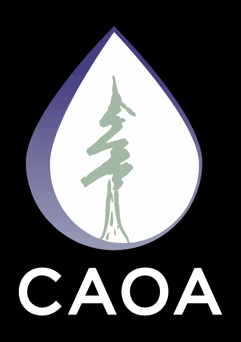 caoa — BR news