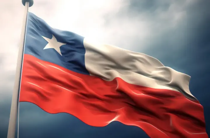 chile x — BR news