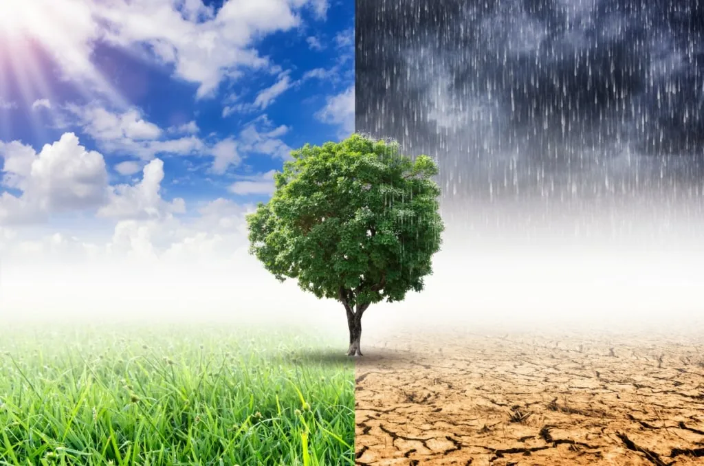 clima tempo — BR news