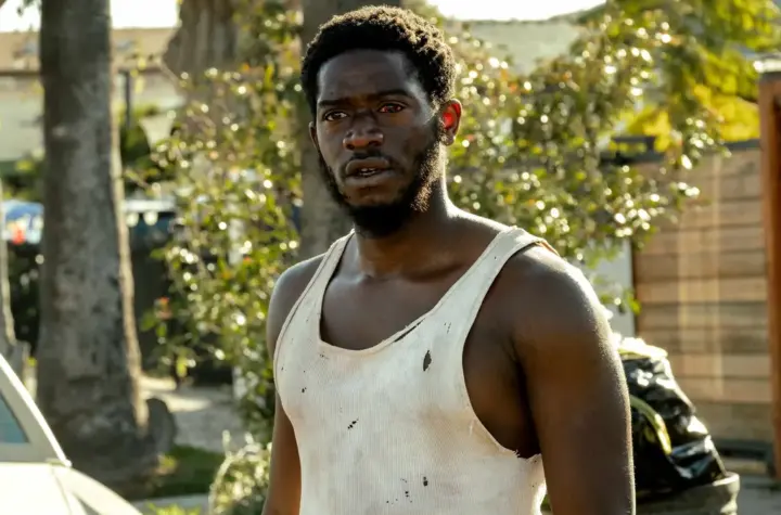 damson idris — BR news