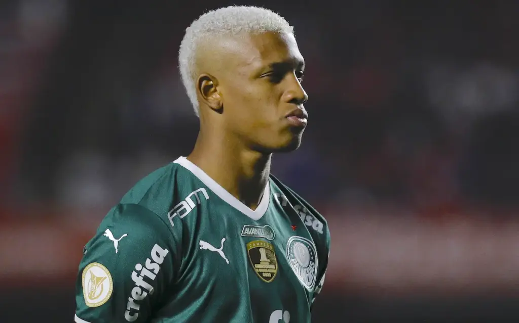danilo palmeiras — BR news