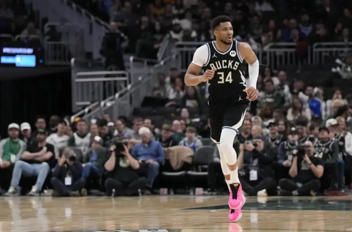 grizzlies x bulls — BR news