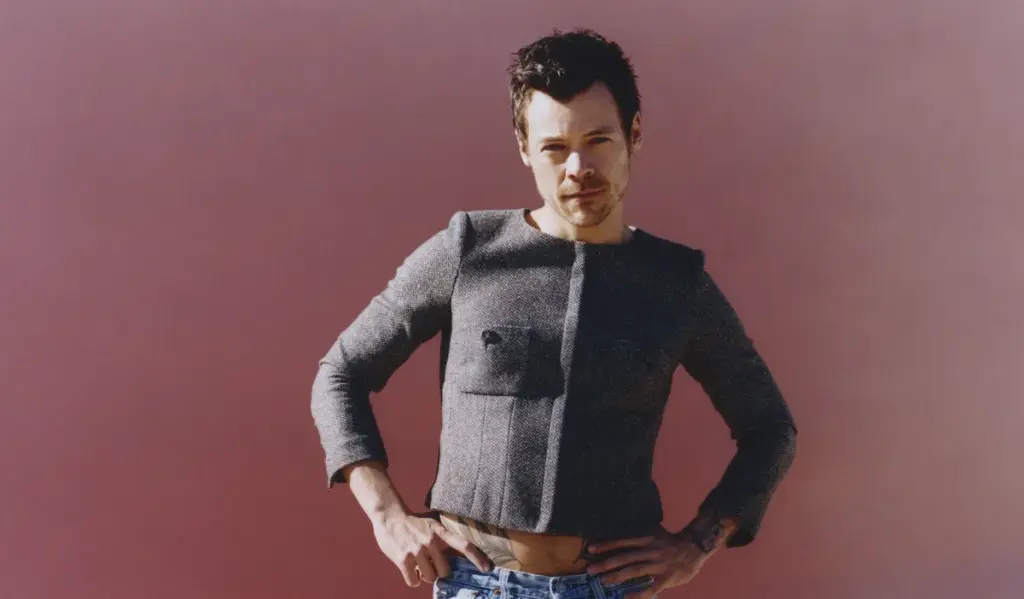 harry styles — BR news