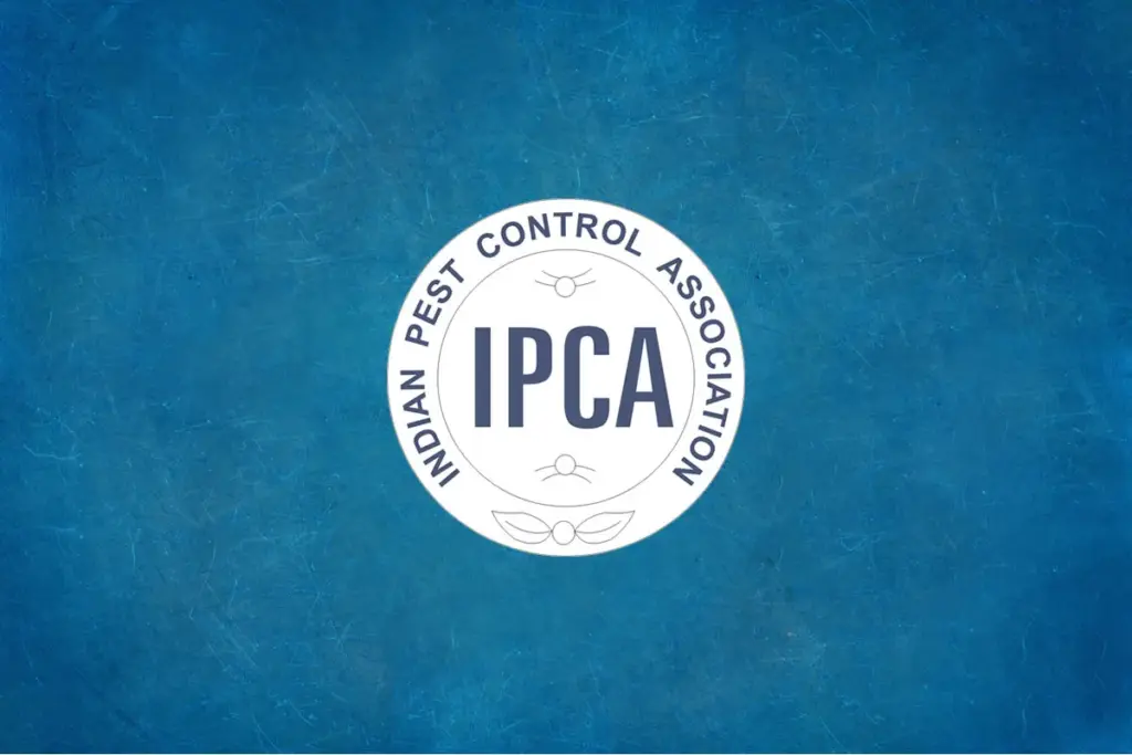 ipca — BR news