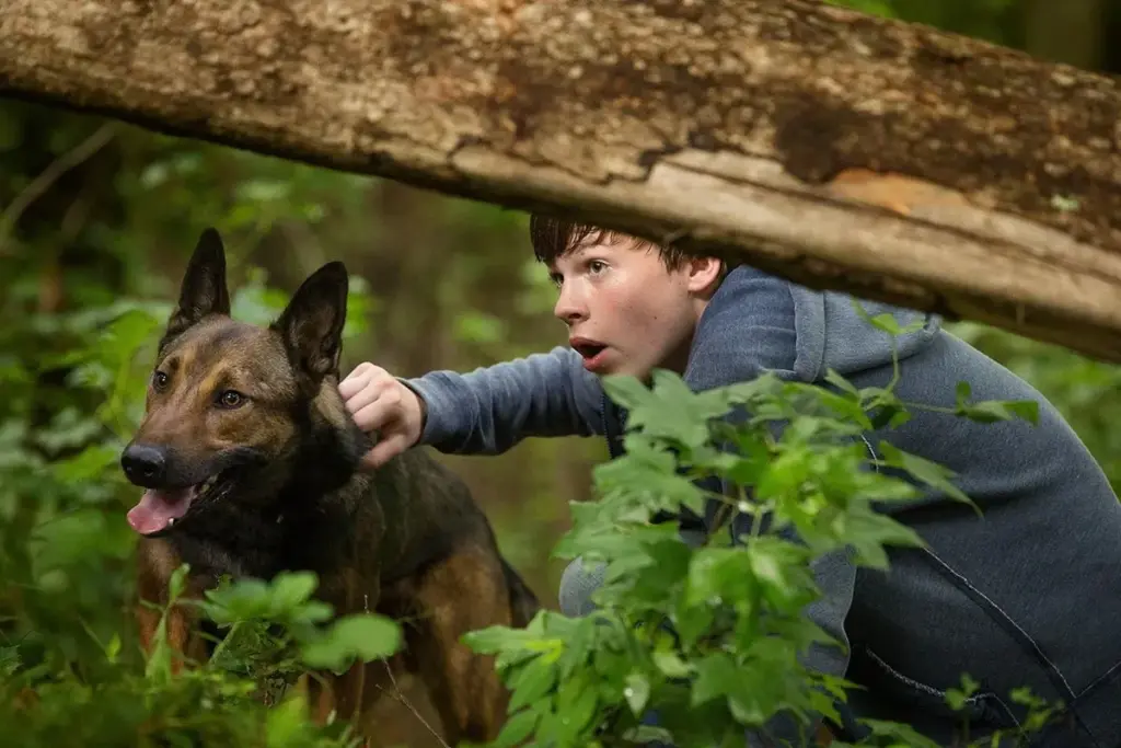 max o cão herói — BR news