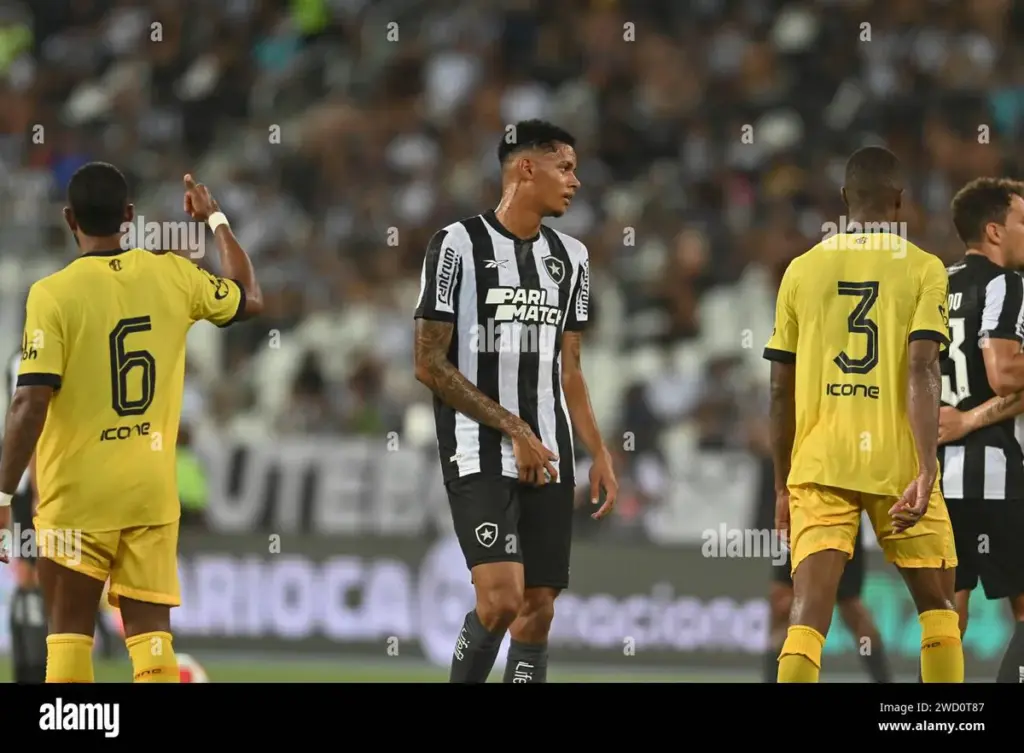 newton botafogo — BR news