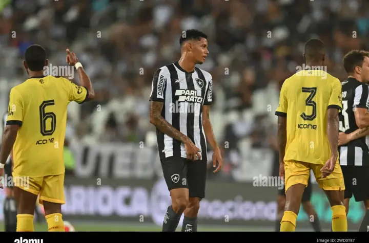 newton botafogo — BR news