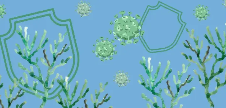 norovirus — BR news