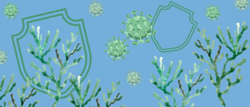 norovirus — BR news