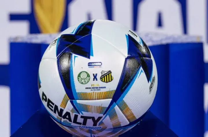 novorizontino x palmeiras — BR news