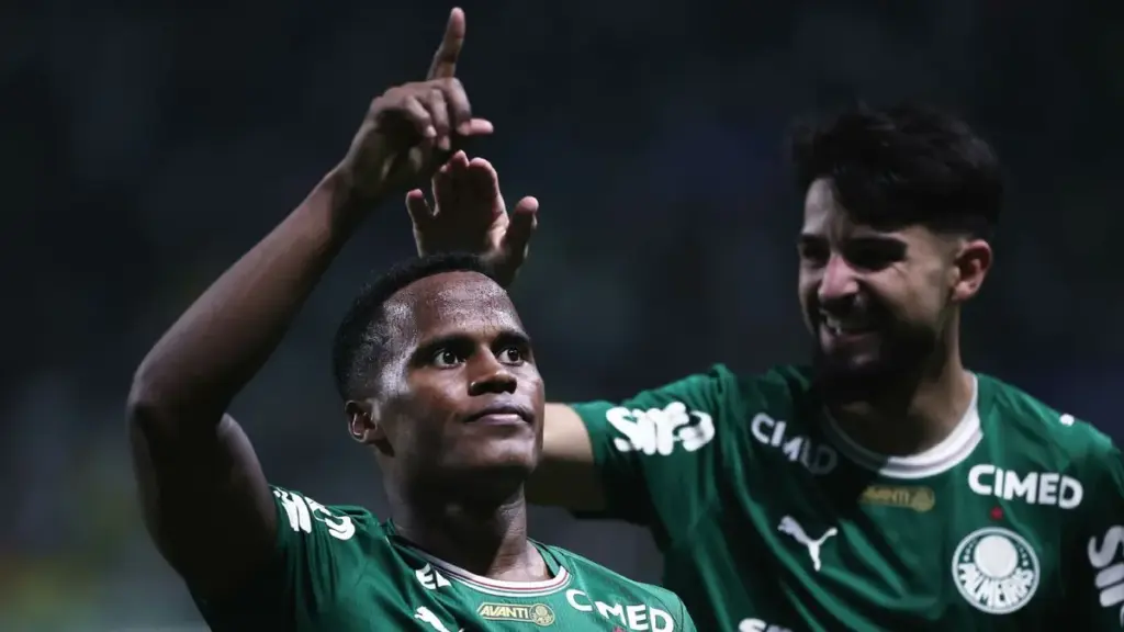 palmeiras-botafogo — BR news