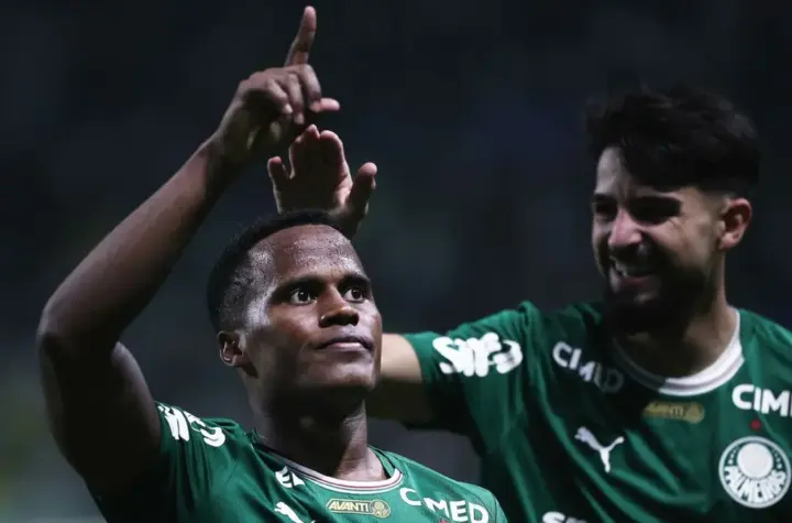 palmeiras-botafogo — BR news