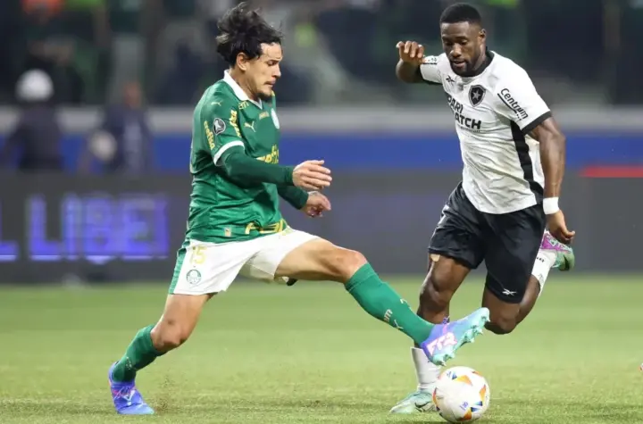palmeiras x botafogo — BR news