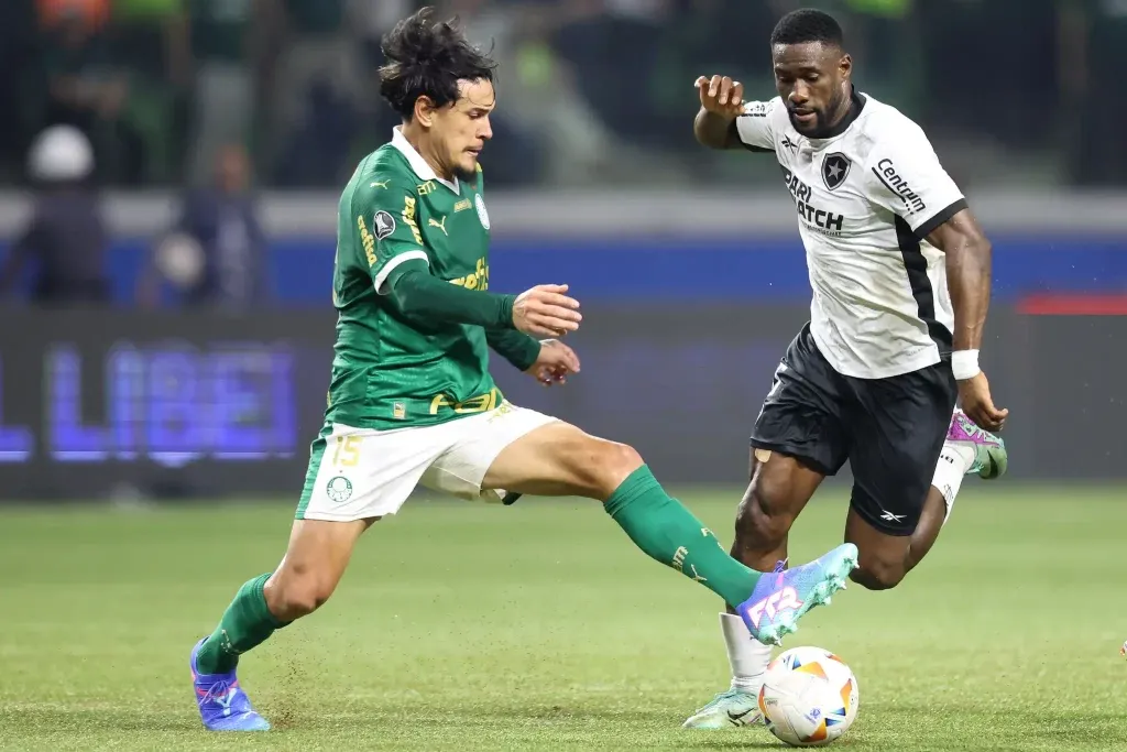 palmeiras x botafogo — BR news