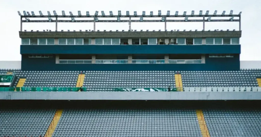 palmeiras x novorizontino — BR news