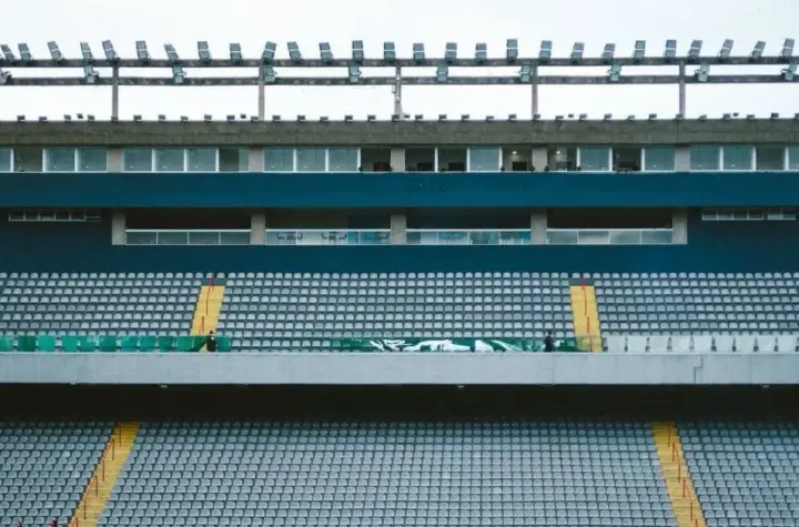 palmeiras x novorizontino — BR news