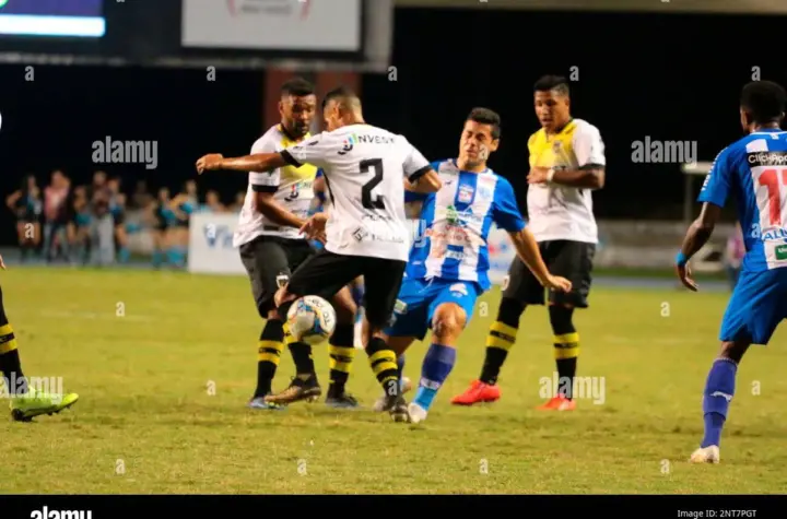 paysandu x portuguesa-rj — BR news