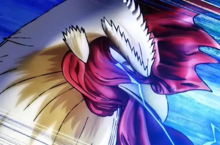 rooster fighter — BR news