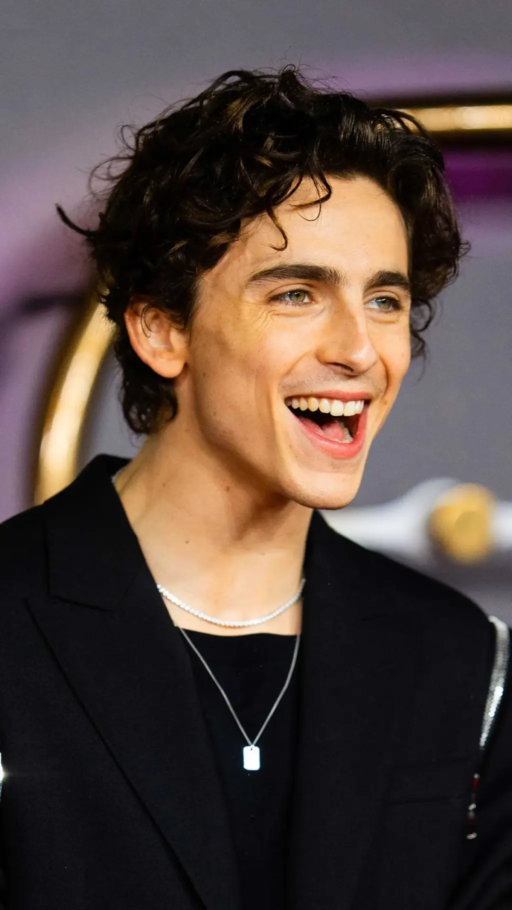 timothee chalamet — BR news