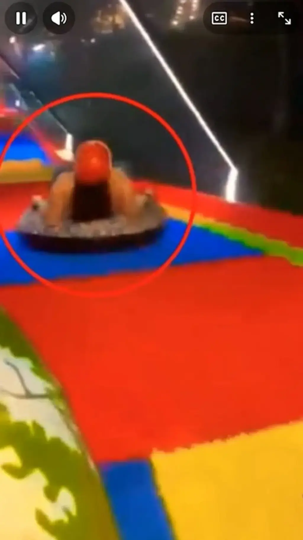 toboga colombia — BR news