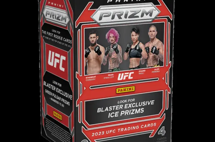 ufc 328 — BR news