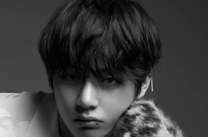 v bts — BR news